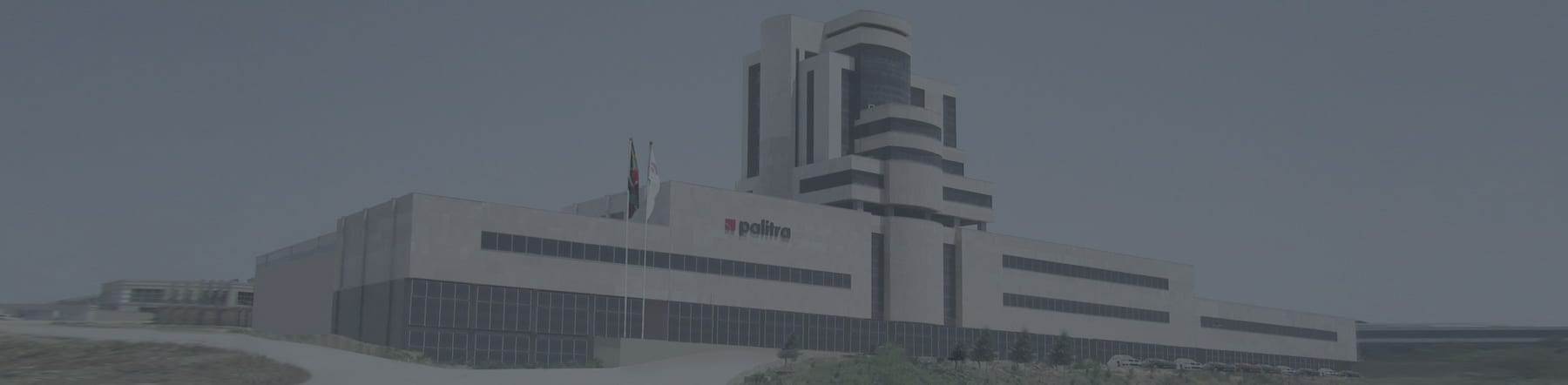 Palitra company